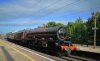 DSC_0027c.jpg