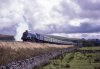 32ct93c095 4498 Pilkingtons Helwith Bridge 1993.JPG