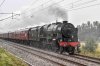 DSC_13175.jpg
