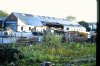 Sheds 089.JPG