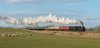 DSC_2844__D800 45690 Plumpton 210315.JPG