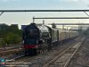 60163 Reading.001.jpg