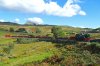 DSC_1337.jpg