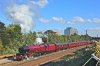 30053942751_cdafc64c9c_k.jpg