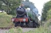 DSC_0716-crop.jpg