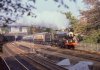 7029 Chester -9.jpg