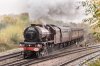 lizzie_north_junction_sm.jpg