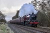 DSC_13956.jpg