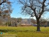 34052 Buckland.001.jpg