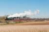 _DSC2215.jpg