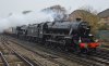 DSC_2063-crop.jpg