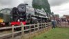 IMG_20161008_132056260_HDR.jpg