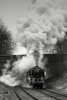 _DSC2846m.jpg