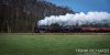 DSC_0549HR-0.jpg