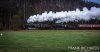 DSC_0554-2-0FB.jpg