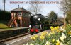 BRAUNTON_MG_7109.jpg
