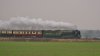 Tornado 11-02-17 (1) 013.JPG