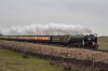 DSC_14519.jpg