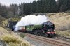 DSC_14537.jpg