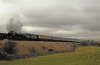 IMG_0025lr.jpg