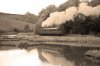 IMG_0583[sepia-usm}.jpg