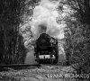DSC_0601-2HR-0.jpg