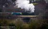 DSC_0705HR-0.jpg
