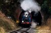 DSC_0902HR-0.jpg