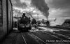 IMG_20170226_081542-2hr-0.jpg