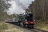 DSC_14818.jpg