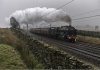 The Mid day Scot 1b.jpg