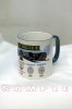 STRICTLY BULLEID MUG 2017 sample.jpg