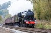45407_2.jpg