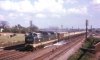 Deltic and troughs.jpg