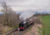 DSC_8318 46115 Haston  220317.JPG