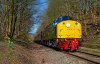 IMG_0509lr.jpg