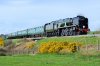 34052-4 Corfe Common 31032017.jpg