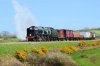 34053-5 Corfe Common 31032017.jpg