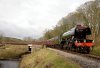 60103-01f.jpg