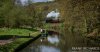 DSC_3016hr-0.jpg