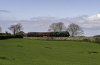 60009LE 1b.jpg