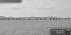 Crossing the Tay Bridge.001.jpg