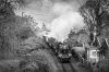 Gala-2757-2.jpg