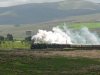 15-6-13 shap 5043+46233 a3.JPG