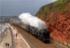 09_462-34052_460-46100_Dawlish (Large).jpg