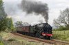 DSC_15614.jpg