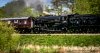 DSC_3336hr-0.jpg