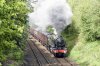 DSC_16826.jpg