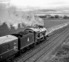 DSC_8760 5043  Tattenhall  bw  270517.JPG
