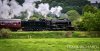 DSC_3563hr-0.jpg